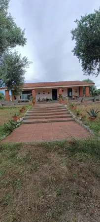 Beautiful villa nestled in a thousand-year-old olive grove 5 minutes from the sea