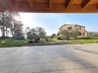 Agriturismo Buonavista - Parco Della Maremma