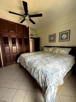 Oceanfront 2/2 condo - 民泊