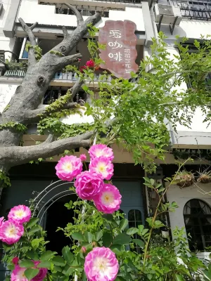 Taining Flower House B&B