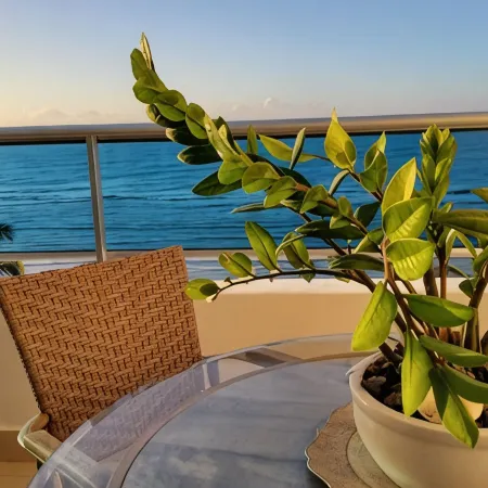 Amazing Views Ocean Front Condo!