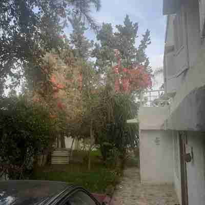 Grand Appartement Paisible, 3 Chambres, vue sur Jardin, Central à Rabat Hotel Exterior