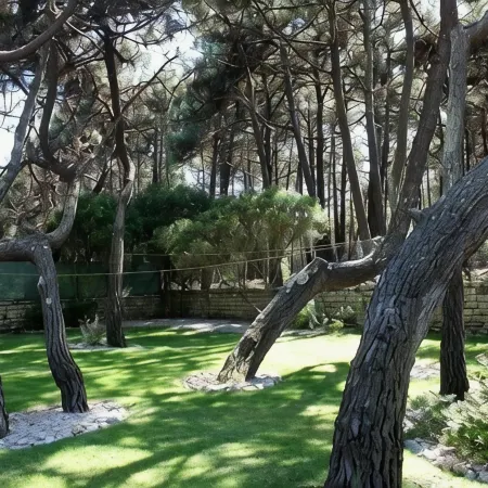 Villa with Books, Sun, Swing Bed, Private Pool And A Spacious Garden To Enjoy