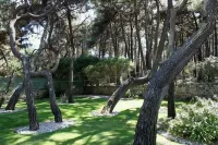 Villa with Books, Sun, Swing Bed, Private Pool And A Spacious Garden To Enjoy -  Holiday Villas