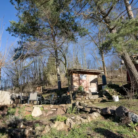 Naturally Kirchner - Ecological and family-friendly in the old town by the forest