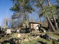 Naturally Kirchner - Ecological and family-friendly in the old town by the forest - 3-Star