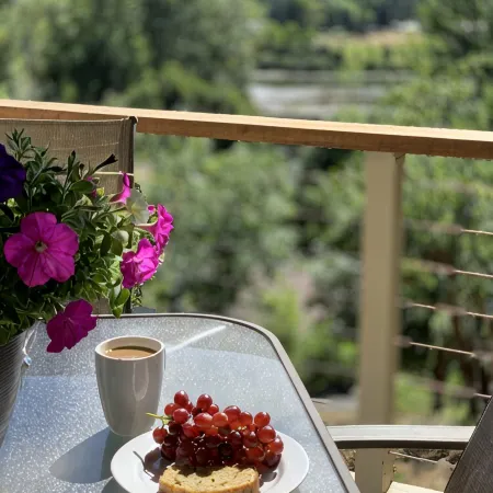 River view & 5 minute walk to downtown!