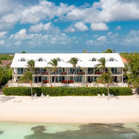 Breathtaking Ocean Front Sea Palm Villa #3