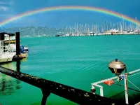Getting Nauti - Sausalito, Ca Hotels in Sausalito