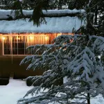 Cabin in the Cedars.Close to Lake,Town & Mountain