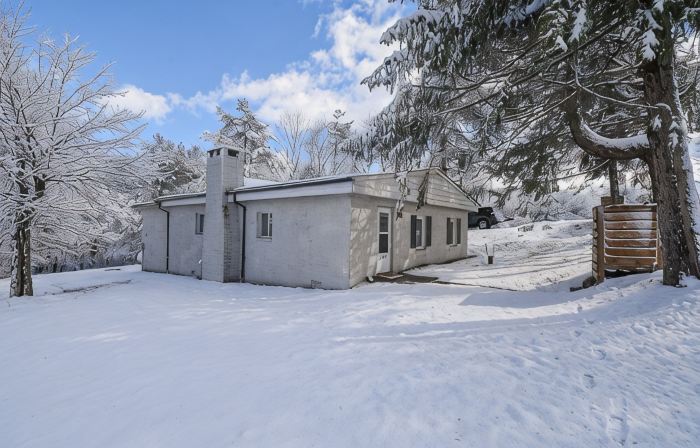 Game room, W/D, Full kitchen, Fire pit, Dog friendly, BBQ, steps to Deep Creek