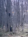 Sxs, Utvs and All! Access to Tuscobia Tr! Private Cottage! Dogs! - 무료 와이파이
