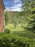 The Tannery!  Private Dipping Pool In The Warm Springs Stream!  Pet Friendly!