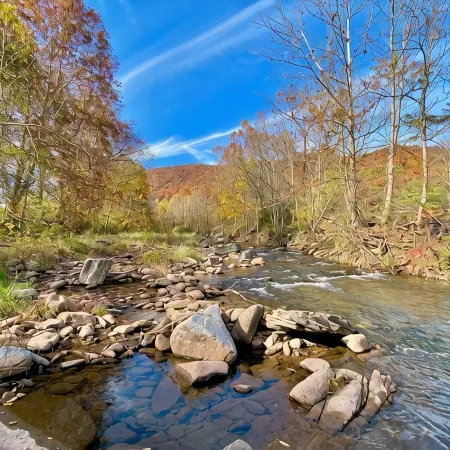 Cozy river front log cabin close to, Seneca Rocks, Dolly Sods, Spruce Knob