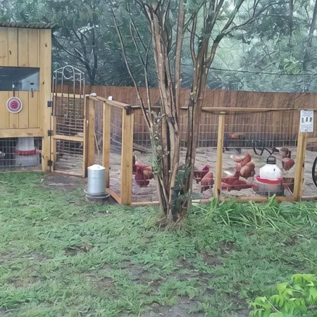 Rustic getaway on 3 acres - Only minutes from TEXS A&M University.