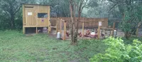 Rustic getaway on 3 acres - Only minutes from TEXS A&M University. - Holiday bungalows