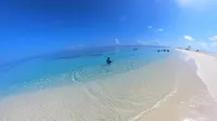Turtle Maldives - Your Gateway to the Beach & Marine Adventures Await! - Beach