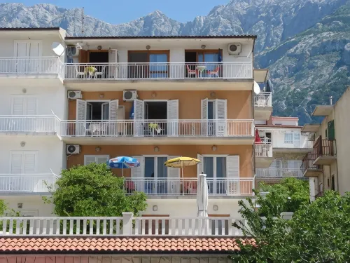 Renata - Pet friendly