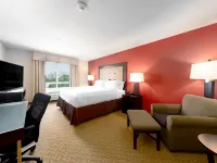 Holiday Inn 寺貝爾頓 坦普爾酒店
