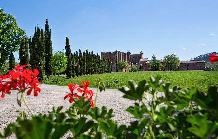 Agriturismo San Galgano - Terre di San Galgano