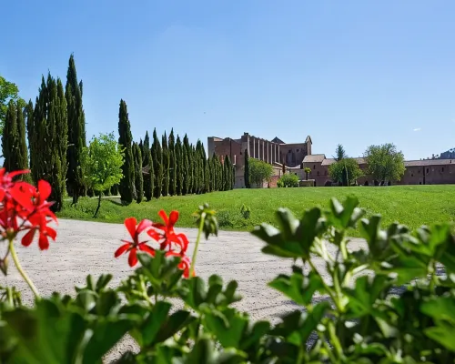 Agriturismo San Galgano Hotels in Chiusdino