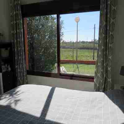 A spacious first floor with views of the vineyards and the sea. Rooms