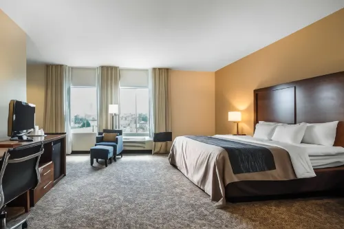 Comfort Inn Apalachin / Binghamton W Route 17 - WLAN