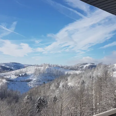 Large vacation apartment with 180-degree views of the mountains