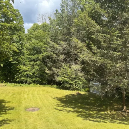 Remarkable Views at Cabin -SUV-Truck-Suggested No Pets