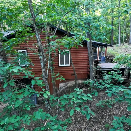 Cub Cabin on Massanutten Resort- Fully Renovated Log Cabin- Hot Tub & Fire Pit