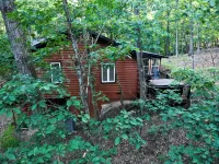 Cub Cabin on Massanutten Resort- Fully Renovated Log Cabin- Hot Tub & Fire Pit