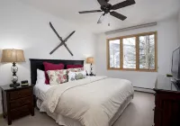 MINT Ski-in/Ski-out w/Mnt. Views, 3Bed 3Bath,with 2 Master on-suites, Highlands - 3-Star