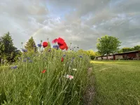 Country Apartment Rental in an Outdoor Paradise! - Wifi
