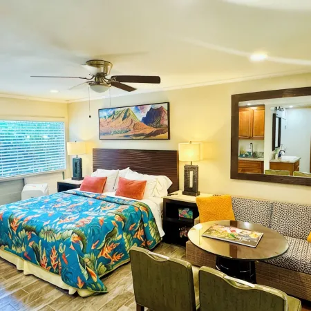 TOTALLY REMODELED Tropical Paradise Studio with A/C & washer/dryer