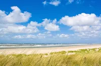 Exclusive apartment with large roof terrace near the beach with sauna - Wifi
