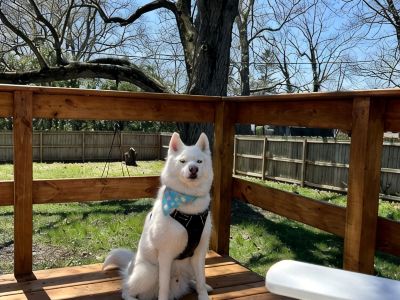 Comfy 3Bd House with Arcade, Ping Pong, Fire Pit, Walk to Purdue, Golf, Sports!