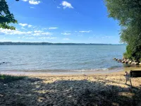Family Fun: Torch Lake Cottage with Private Beach Access - Kayaks & Sup Provided - Homestays