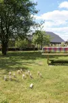 Zythogite Appartement 6 Personnes Avec Jardin, BBQ -  Apartamentos vacacionales