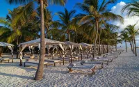 Lion in the Sun Boutique Hotel & Spa - Beach