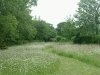 Hazelwood Guest House - 4つ星