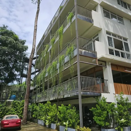 Vine and Canopy