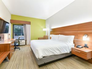 Holiday Inn Express & Suites Pigeon Forge/Near Dollywood