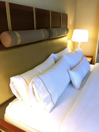 The Westin San Jose Отели рядом с достопримечательностью «Хэппи Холлоу парк и зоопарк»