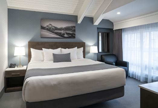 레드 카펫 인 밴프