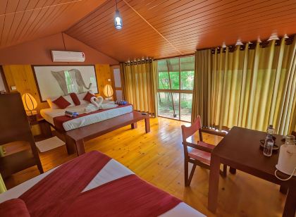Yala Hotel Lion -Air Conditioned High Luxury Safari Camp