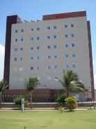 Ibis Petrolina