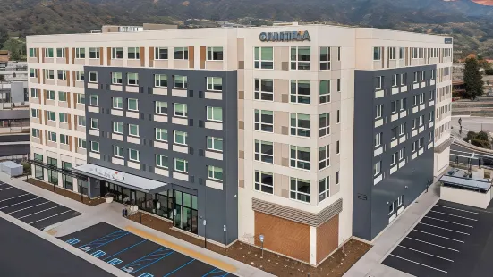 Cambria Hotel Burbank Airport