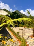 Dinh Sapa Trekking & Homestay