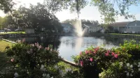 Newly Remodled Coastal Condo