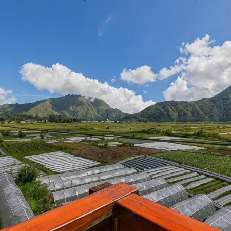 Teras Sawah Guest House Syariah